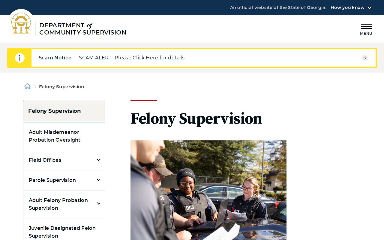 Georgia felony supervision information for Laurens County releases